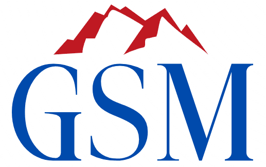 GSM Technology Services
